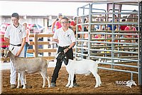 LCFair2016-1451.jpg