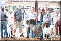 LCFair2016-1455.jpg