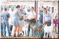 LCFair2016-1456.jpg