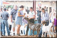 LCFair2016-1458.jpg