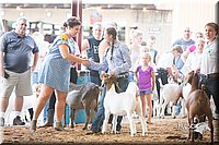 LCFair2016-1459.jpg