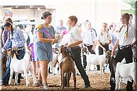 LCFair2016-1460.jpg