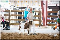 LCFair2016-1464.jpg