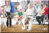 LCFair2016-1465.jpg