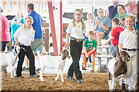 LCFair2016-1466.jpg