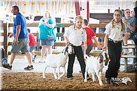 LCFair2016-1467.jpg