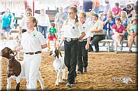 LCFair2016-1469.jpg
