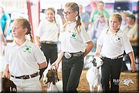 LCFair2016-1470.jpg