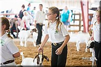 LCFair2016-1471.jpg