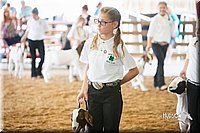 LCFair2016-1472.jpg