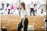 LCFair2016-1473.jpg