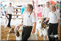 LCFair2016-1475.jpg