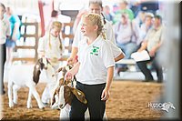 LCFair2016-1476.jpg