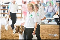 LCFair2016-1477.jpg