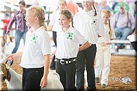LCFair2016-1478.jpg
