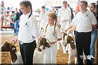 LCFair2016-1480.jpg