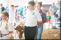 LCFair2016-1481.jpg