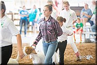 LCFair2016-1482.jpg