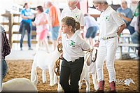 LCFair2016-1483.jpg
