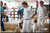 LCFair2016-1484.jpg