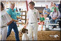 LCFair2016-1485.jpg