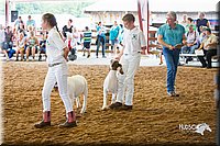 LCFair2016-1486.jpg