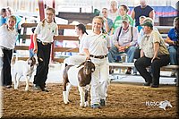LCFair2016-1487.jpg