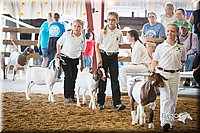 LCFair2016-1488.jpg
