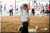 LCFair2016-1493.jpg