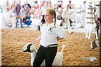 LCFair2016-1494.jpg