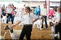 LCFair2016-1495.jpg