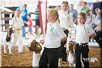 LCFair2016-1496.jpg