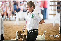 LCFair2016-1497.jpg