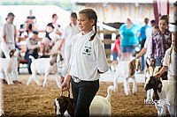 LCFair2016-1498.jpg