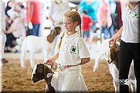 LCFair2016-1499.jpg