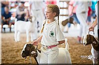LCFair2016-1500.jpg