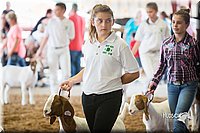LCFair2016-1501.jpg