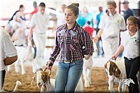 LCFair2016-1502.jpg