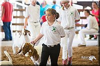 LCFair2016-1503.jpg