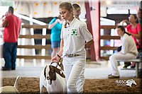 LCFair2016-1504.jpg