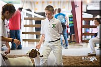 LCFair2016-1505.jpg