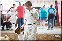 LCFair2016-1506.jpg