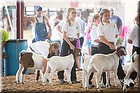 LCFair2016-1510.jpg