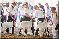 LCFair2016-1511.jpg
