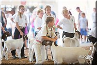 LCFair2016-1512.jpg