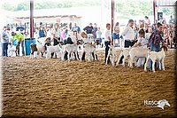LCFair2016-1513.jpg