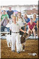 LCFair2016-1515.jpg