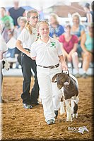 LCFair2016-1516.jpg