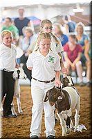 LCFair2016-1517.jpg