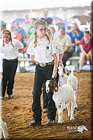 LCFair2016-1518.jpg